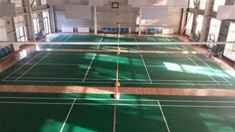 專注品質，服務運動——北京達森運動木地板有限責任公司